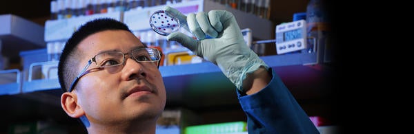 Grad student David Chen (c) UCR / Stan Lim