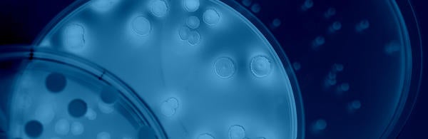Differentiation of bacteria