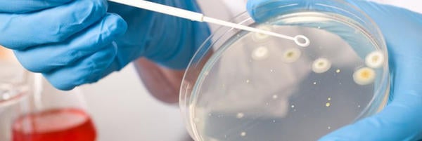 iStock Microbiology 