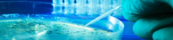 Lab Testing