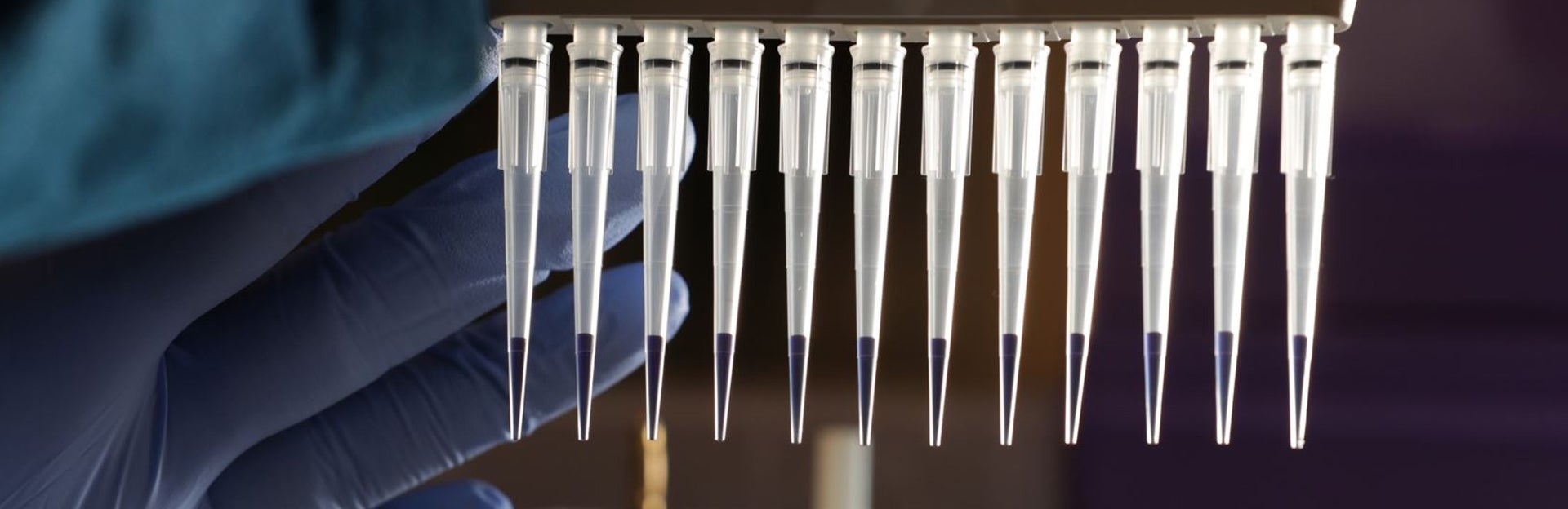 Microbiology phd thesis